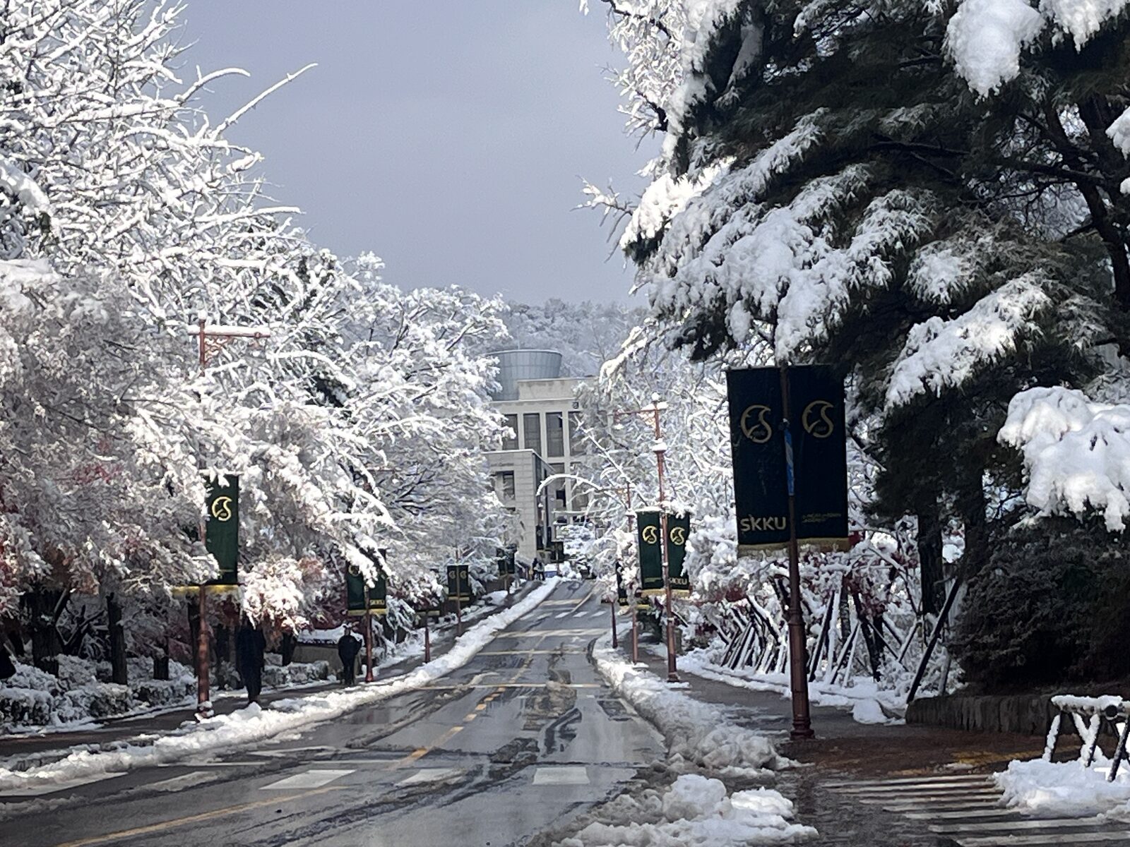 Sungkyunkwan i januar — Rodis universitet under sne.